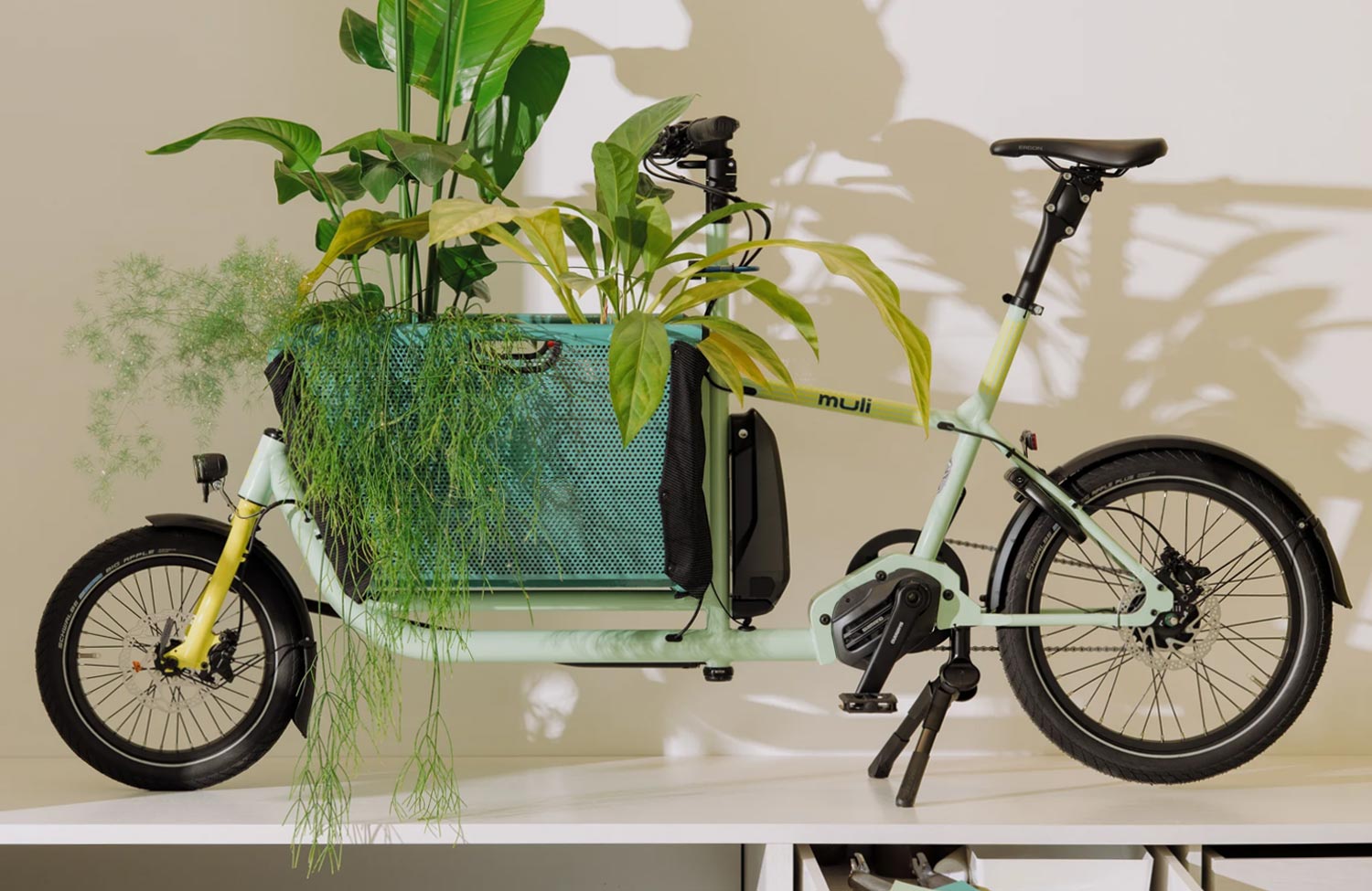 Muli-Cycles-Cargo-Bike-Special-Edition-1-Besau-Marguerre-Mint-Yellow